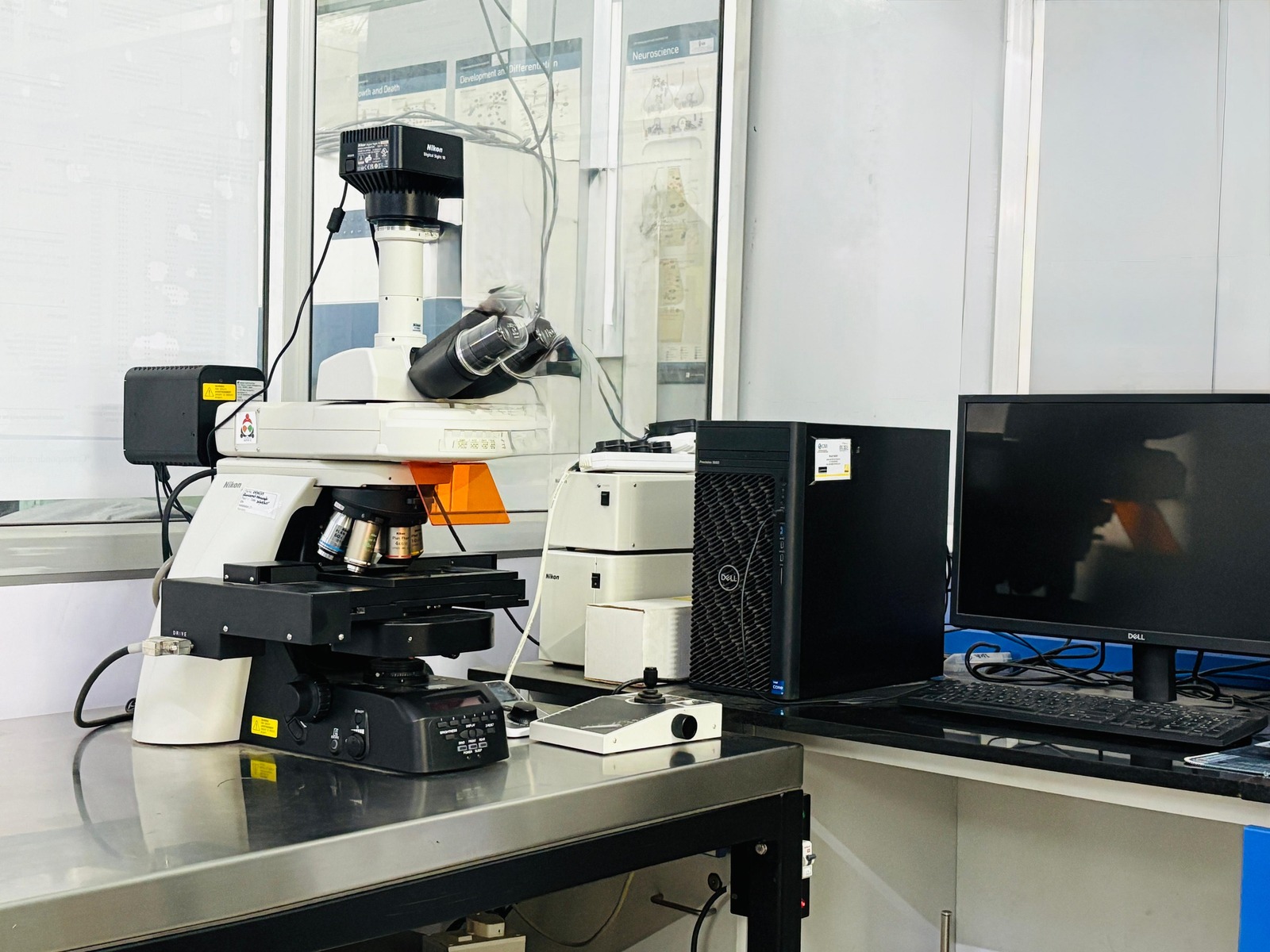 Fluorescent Microscopy